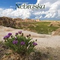 Cover: Nebraska Wild & Scenic 2020 Square - Browntrout Publishers