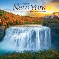 Abbildung von: New York Wild & Scenic 2020 Mini 7x7 - Brown Trout