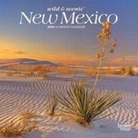 Abbildung von: New Mexico Wild & Scenic 2020 Mini 7x7 - Brown Trout