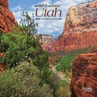 Abbildung von: Utah Wild & Scenic 2020 Mini 7x7 - Brown Trout