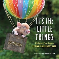 Enlarge image Cover: It's the Little Things - Workman Publishing Company