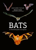 Cover: Bats - Ivy Press