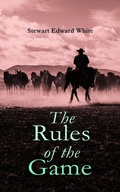 Cover: The Rules of the Game - e-artnow