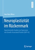Abbildung von: Neuroplastizität im Rückenmark - Springer
