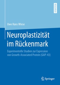 Abbildung von: Neuroplastizität im Rückenmark - Springer