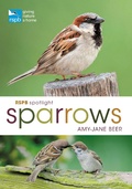 Cover: RSPB Spotlight Sparrows - Bloomsbury Wildlife
