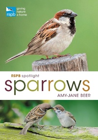 Enlarge image Cover: RSPB Spotlight Sparrows - Bloomsbury Wildlife