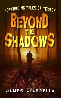 Enlarge image Cover: Beyond the Shadows - James J Ciardella