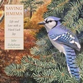 Cover: Saving Jemima - HarperAudio