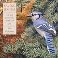 Cover: Saving Jemima - Hmh Audio