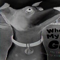 Cover: Where'd My Jo Go? - Sleeping Bear Press
