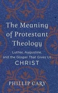 Cover: Meaning of Protestant Theology - Baker Academic