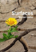 Cover: Surfaces - High Window