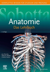 Abbildung von: Sobotta Lehrbuch Anatomie - Urban & Fischer