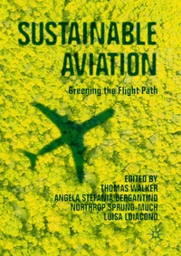 Enlarge image Cover: Sustainable Aviation - Palgrave Macmillan