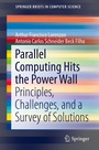 Cover: Parallel Computing Hits the Power Wall - Springer