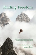 Cover: Finding Freedom - Wandel edition khordong