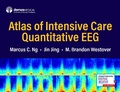 Cover: Atlas of Intensive Care Quantitative EEG - Springer Publishing Company