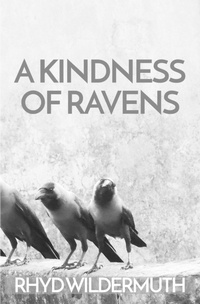 Enlarge image Cover: A Kindness of Ravens - Gods&radicals