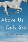 Cover: Above Us Only Sky - Counterpoint