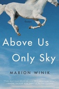 Cover: Above Us Only Sky - Counterpoint