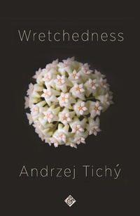 Enlarge image Cover: Wretchedness - And Other Stories