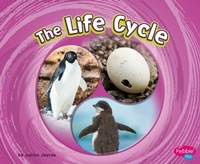 Enlarge image Cover: The Life Cycle - Capstone Press, Incorporated