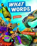 Cover: Word Play What Words - Capstone Press