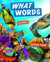 Enlarge image Cover: Word Play What Words - Capstone Press