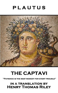 Enlarge image Cover: The Captavi - Stage Door
