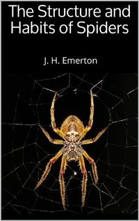 Abbildung von: The Structure and Habits of Spiders - Books on Demand