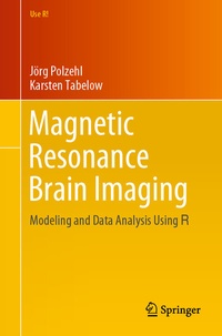 Abbildung von: Magnetic Resonance Brain Imaging - Springer