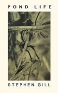 Cover: Pond Life - Salon