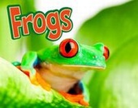 Enlarge image Cover: Frogs - Raintree