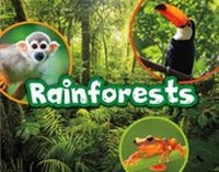 Enlarge image Cover: Rainforests - Raintree