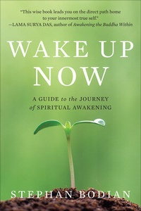 Enlarge image Cover: Wake Up Now - McGraw-Hill Education