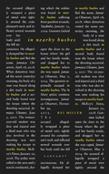 Cover: In Nearby Bushes - Carcanet Poetry