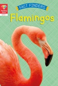 Cover: Reading Gems Fact Finders: Flamingos (Level 1) - words & pictures