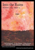 Cover: Into the Ruins - Figuration Press