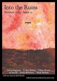 Enlarge image Cover: Into the Ruins - Figuration Press