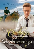 Cover: Der Cowboy & der Schreibtischhengst - dead soft verlag