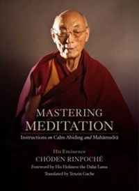 Abbildung von: Mastering Meditation - Wisdom Publications