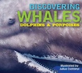 Cover: Discovering Whales, Dolphins and Porpoises - Applesauce Press