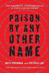 Enlarge image Cover: Prison by Any Other Name - The New Press