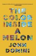 Cover: The Color Inside a Melon - Dzanc Books