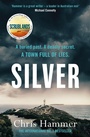 Cover: Silver - Wildfire