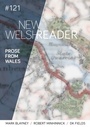 Cover: The New Welsh Reader 2019 - New Welsh Rarebyte