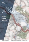 Cover: The New Welsh Reader 2019 - New Welsh Rarebyte
