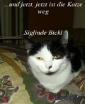 Cover: Und jetzt jetzt ist die Katze weg - BookRix
