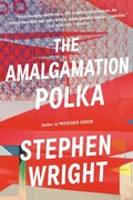 Cover: The Amalgamation Polka - Little, Brown and Company